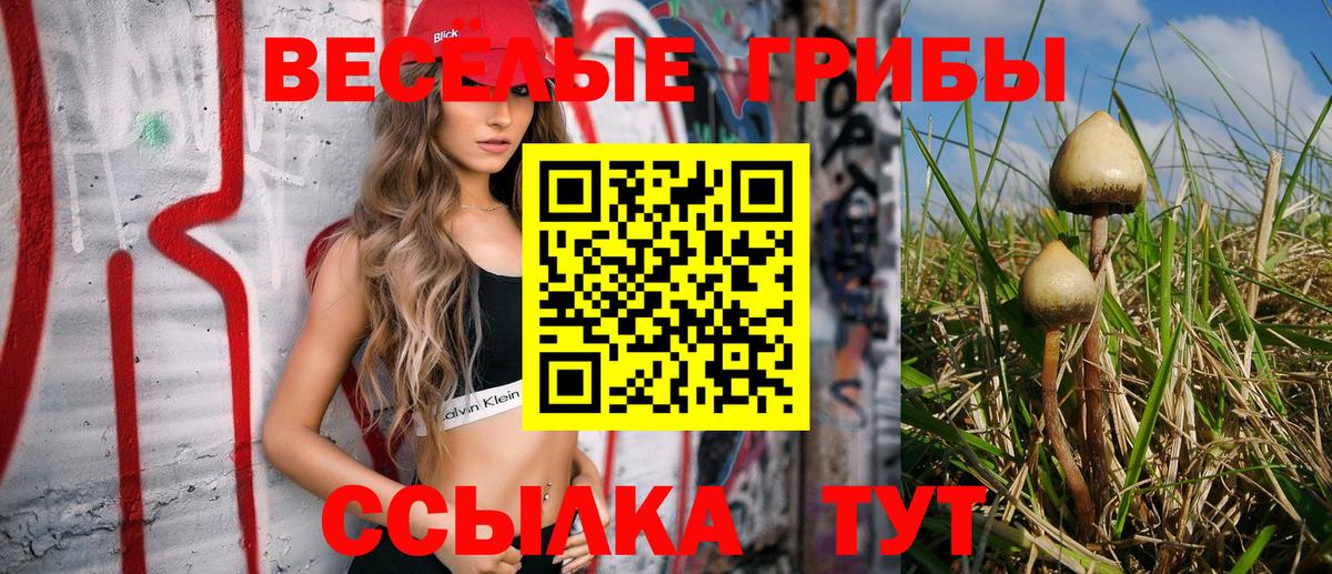 Галлюциногенные грибы GOLDEN TEACHER  Вход с VPN  Волжск 